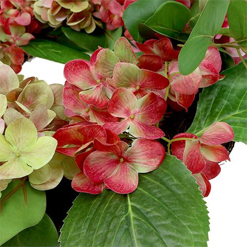 Floristik24 Wreath hydrangeas Ø60cm green, pink 1p