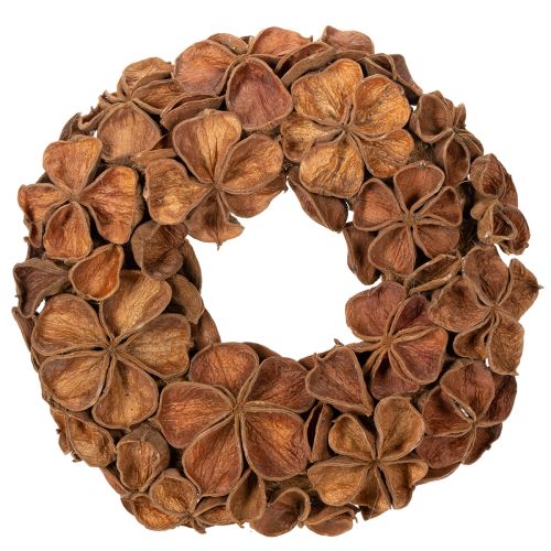 Natural Dried Lotus Wreath 35cm Brown for Home Decoration buy online | Floristik24.co.uk