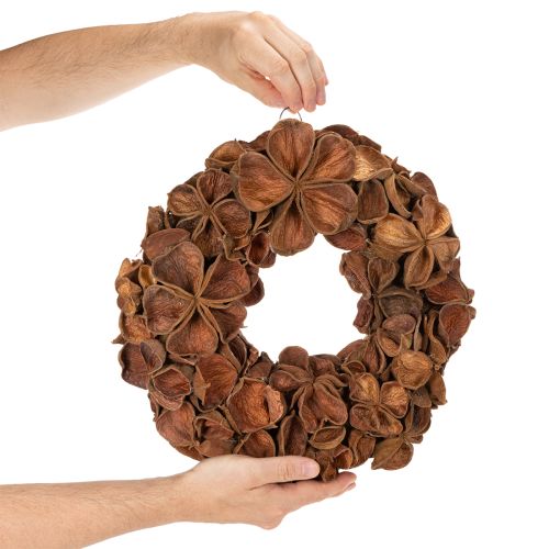 Natural Dried Lotus Wreath 35cm Brown for Home Decoration | Floristik24.co.uk