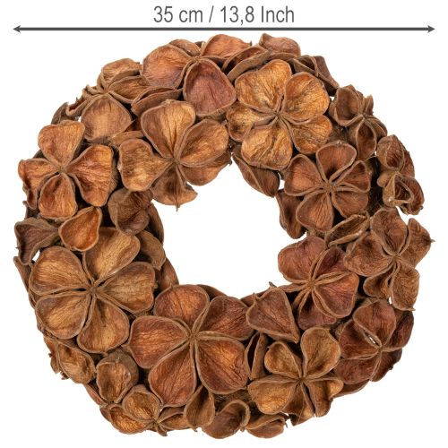 Natural Dried Lotus Wreath 35cm Brown for Home Decoration | Floristik24.co.uk