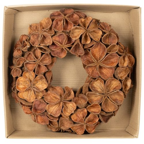 Natural Dried Lotus Wreath 35cm Brown for Home Decoration | Floristik24.co.uk