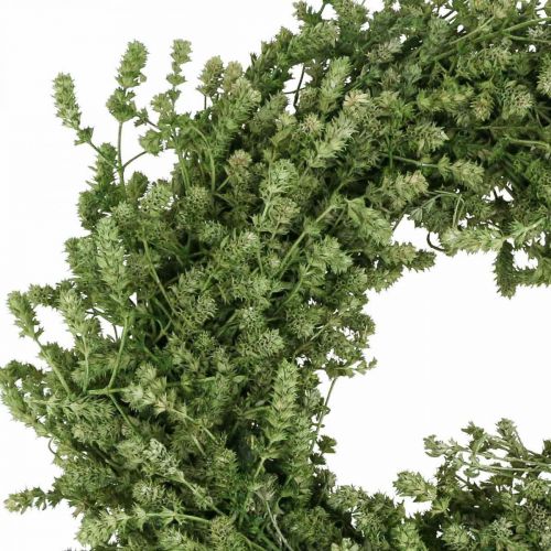 Floristik24 Christmas wreath green dried flower wreath linen herb Ø34cm