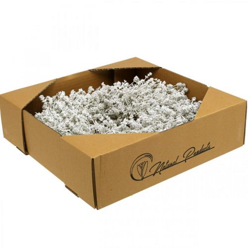 Product Christmas wreath white dried flower wreath linen Ø34cm