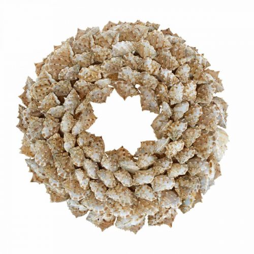 Floristik24 Deco wreath snails Maritime decoration door wreath sea snails Ø25cm