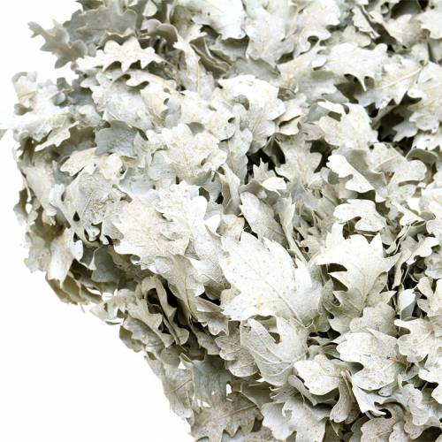 Floristik24 Wreath of oak leaves washed white Ø38cm