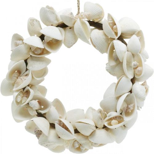 Floristik24 Maritime wreath, sea decoration, decorative wreath shells and snail shells natural Ø26.5cm