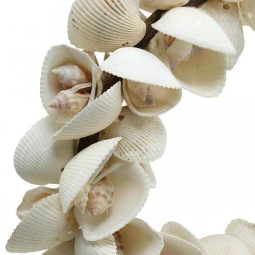 Product Maritime wreath, sea decoration, decorative wreath shells and snail shells natural Ø26.5cm