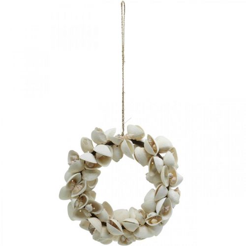 Floristik24 Maritime wreath, sea decoration, decorative wreath shells and snail shells natural Ø26.5cm