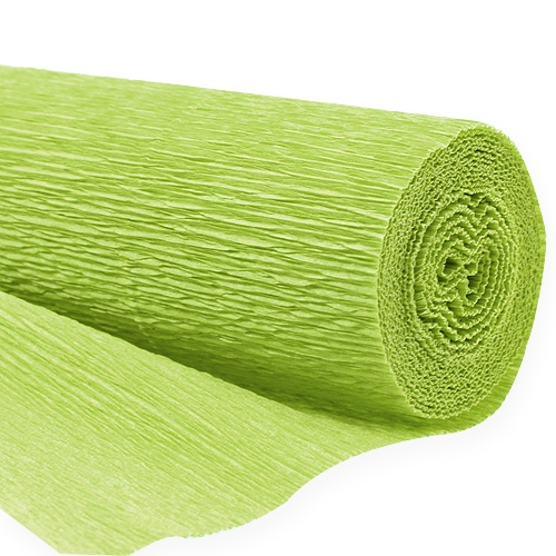 Floristik24 Florist crepe paper May green 50x250cm