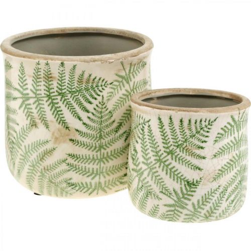 Floristik24 Planter earthenware fern plant pot ceramic Ø15/10.5cm set of 2