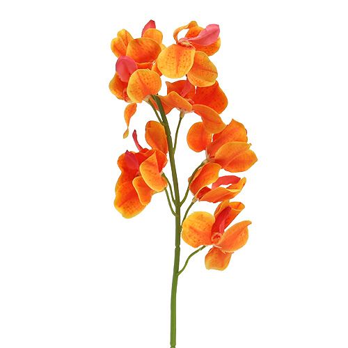 Floristik24 Artificial orchid Mokara Orange 50cm 6pcs