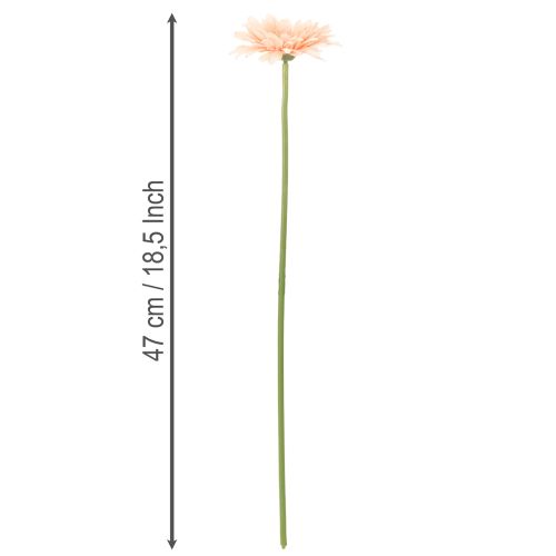 Artificial Gerbera Flowers Apricot 47cm 6pcs | Floristik24.co.uk