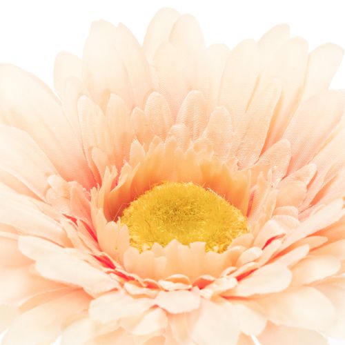 Artificial Gerbera Flowers Apricot 47cm 6pcs | Floristik24.co.uk