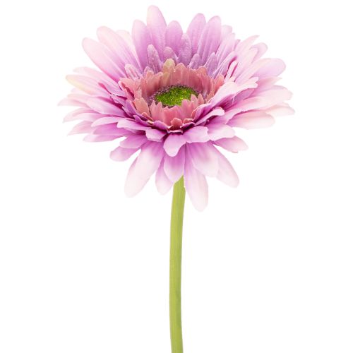 Artificial Gerbera Garden Flowers, Purple, 47cm, 6 Pieces buy online | Floristik24.co.uk