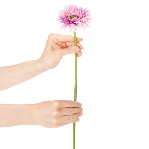 Artificial Gerbera Garden Flowers, Purple, 47cm, 6 Pieces | Floristik24.co.uk