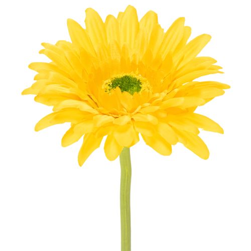 Artificial Gerbera Flowers, Sunny Yellow, Garden Flower, 47cm, 6 Pieces buy online | Floristik24.co.uk