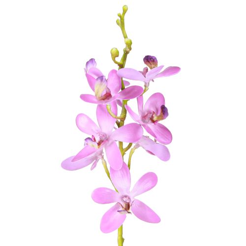 Floristik24 Artificial Orchids 8 purple flowers Ø3.5cm–5cm 2pcs