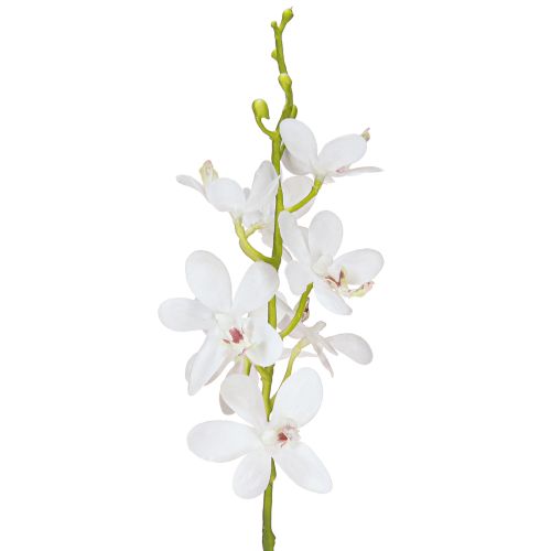 Product Artificial Orchids White Flower Ø3.5–5cm L38cm 2pcs