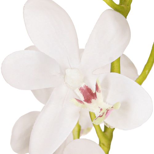 Product Artificial Orchids White Flower Ø3.5–5cm L38cm 2pcs