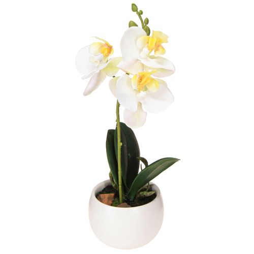 Floristik24 Artificial orchids in pot white mini orchids Ø7cm H22cm