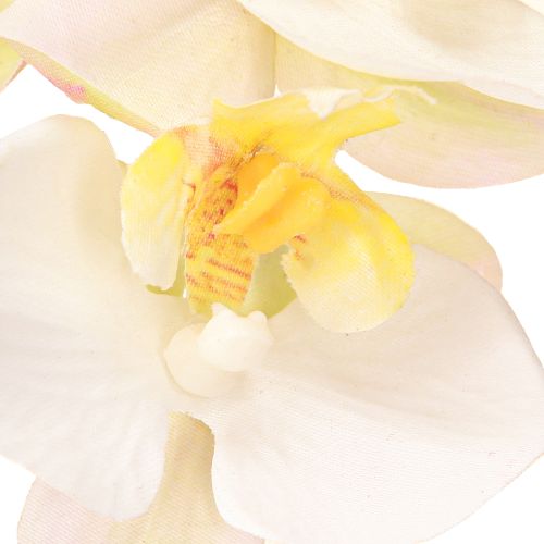 Product Artificial orchids in pot white mini orchids Ø7cm H22cm