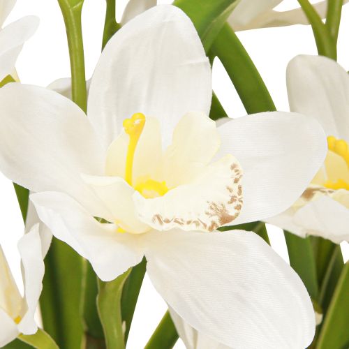 Product Artificial orchids in pot with white flowers H80cm