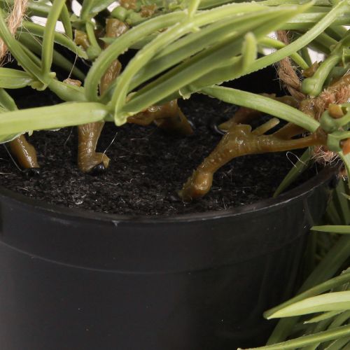 Product Artificial succulent hanging plant in black pot 60 cm - Durable interior decoration