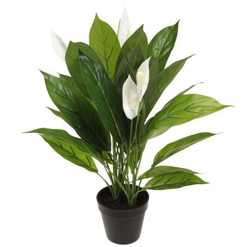 Floristik24 Artificial Potted Plant Peace Lily Green White 55cm