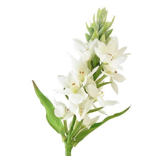 Artificial Flower Garden Star of Bethlehem Artificial Flower White 50cm