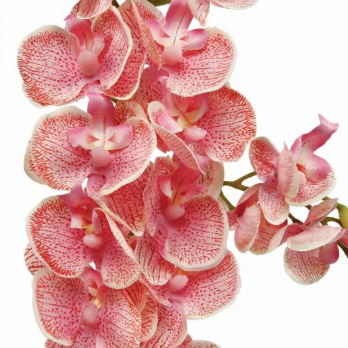 Product Artificial orchids deco artificial flower orchid pink 71cm