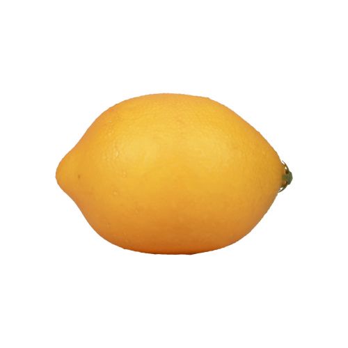 Floristik24 Artificial lemon decorative food dummies orange 8.5cm