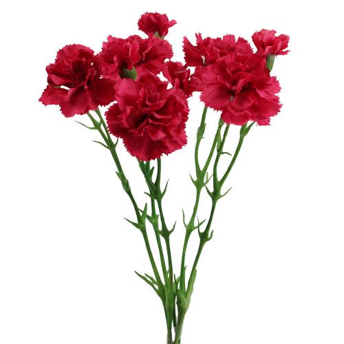 Floristik24 Artificial Carnation Pink 32cm 5pcs