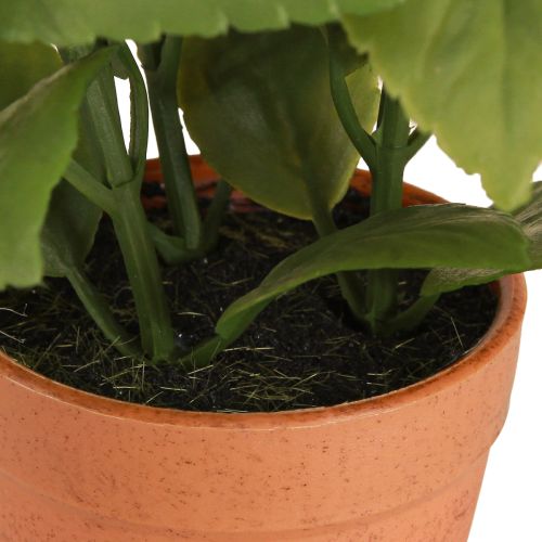 Product Artificial Basil in Pot Herb Pot Artificial Plant 22cm 2pcs