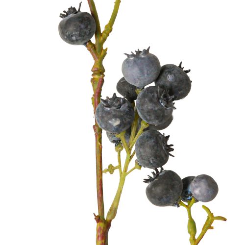 Floristik24 Artificial branch with blue berries blueberries 110cm