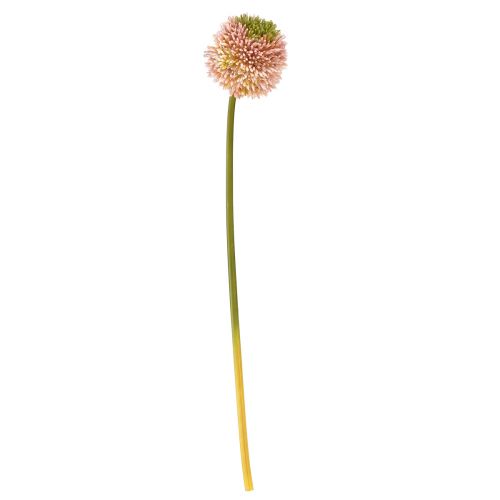Product Artificial Allium Ornamental Onion Pink Green Ø10cm L65cm
