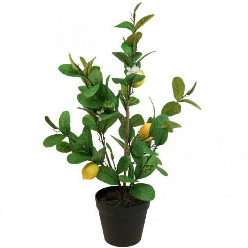 Floristik24 Artificial lemon tree in a pot Lemon tree H65cm