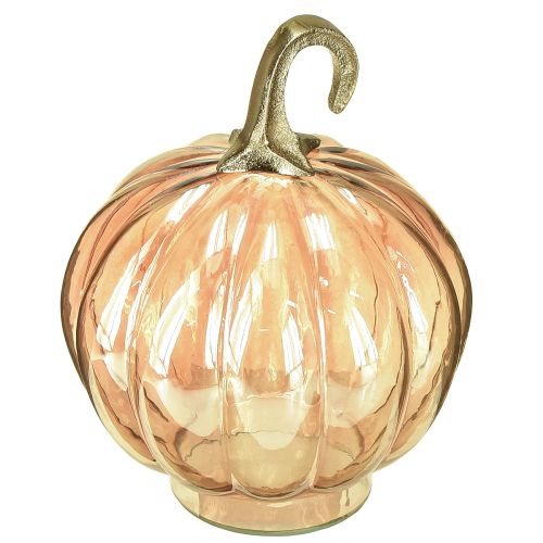 Floristik24 Pumpkin decoration glass glass pumpkin table decoration orange Ø14cm H18cm