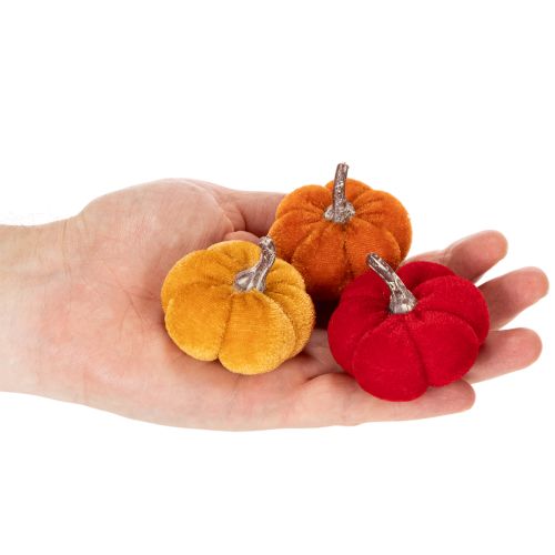 Velvet Mini Pumpkin Set, 5cm, 3 Colors, Pack of 12 | Floristik24.co.uk