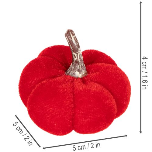 Velvet Mini Pumpkin Set, 5cm, 3 Colors, Pack of 12 | Floristik24.co.uk