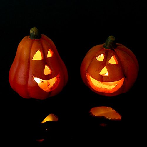 Floristik24 Pumpkin lantern mix 6cm - 8cm with LED 6pcs