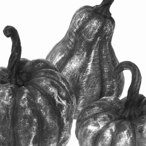 Floristik24 Decorative Pumpkin Silver, Black Assorted H10.5/14.5/17.5cm 3pcs
