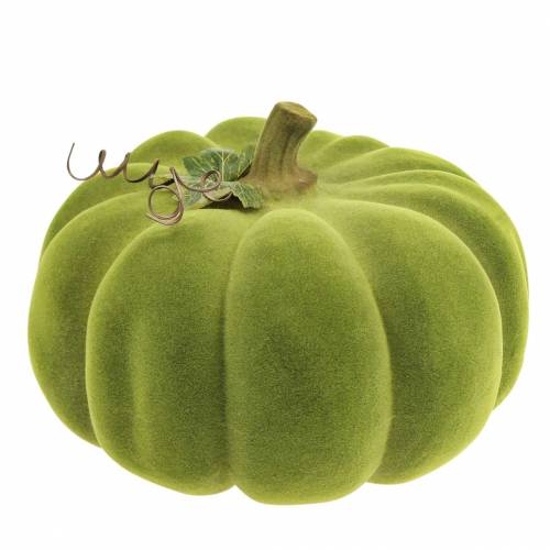 Floristik24 Decorative pumpkin flocked moss green 32cm