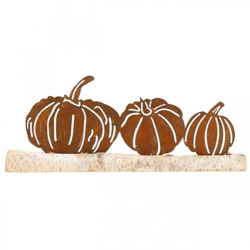 Floristik24 Pumpkins rust and bark metal decoration on birch wood 20×5cm H9cm
