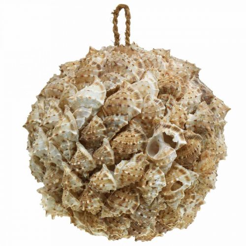 Shell decoration ball sea snails Maritime decoration for hanging Ø18cm
