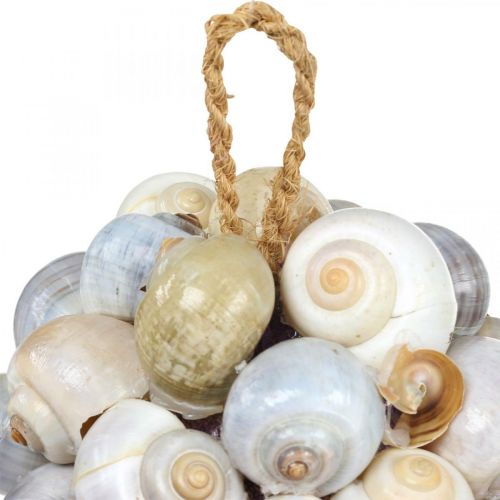 Product Maritime decoration ball sea snail shell ball natural decoration Ø12cm