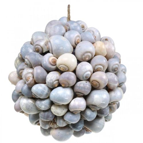 Product Deco ball sea snails large Maritime decoration for hanging Ø25cm