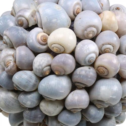 Product Deco ball sea snails large Maritime decoration for hanging Ø25cm