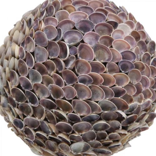 Product Sea shell ball Shell ball Large Marine decor Ø25cm