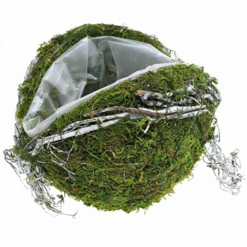 Floristik24 Grave decoration ball vines moss green, white washed Ø20cm