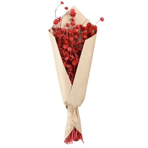 Product Globe Amaranth Gomphrena Globosa bright red L45cm 100g